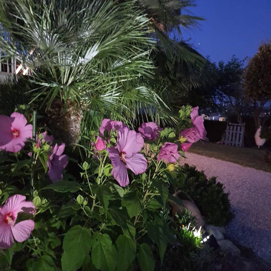 Bnb Fano Collina. La Pace Di Una Vacanza Piagge Exteriér fotografie