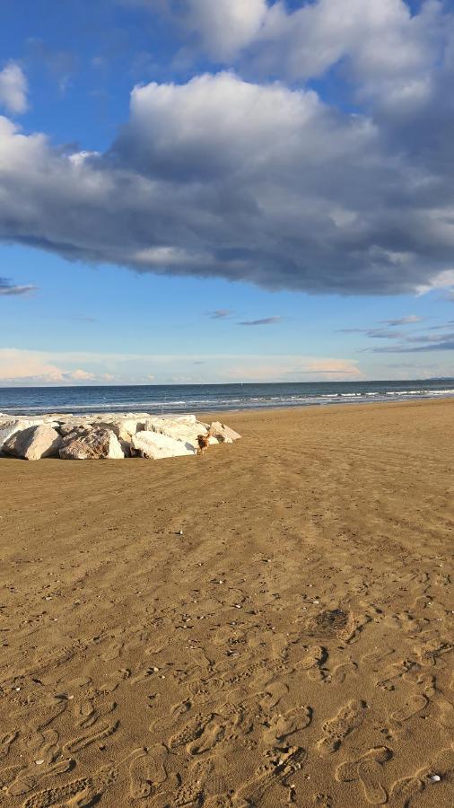 Bnb Fano Collina. La Pace Di Una Vacanza Piagge Exteriér fotografie