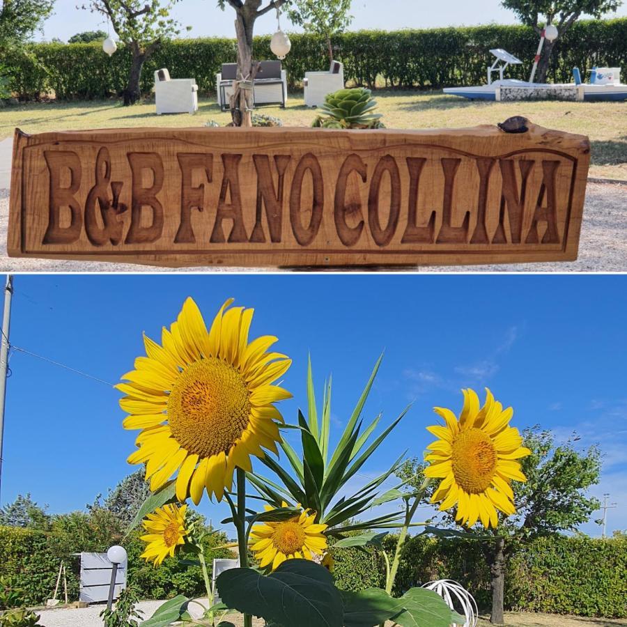 Bnb Fano Collina. La Pace Di Una Vacanza Piagge Exteriér fotografie
