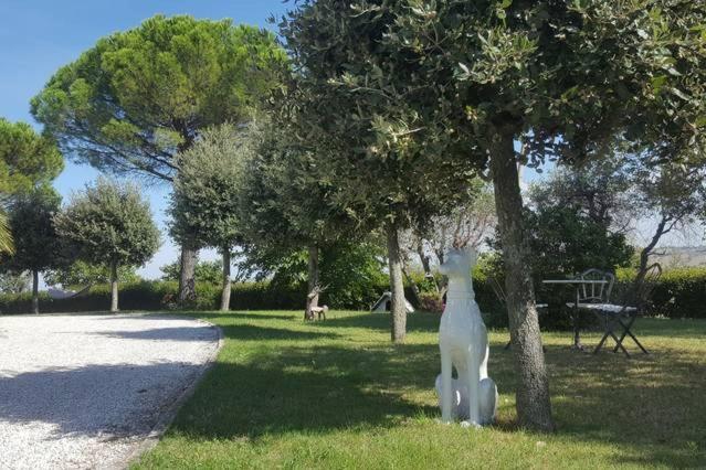 Bnb Fano Collina. La Pace Di Una Vacanza Piagge Exteriér fotografie