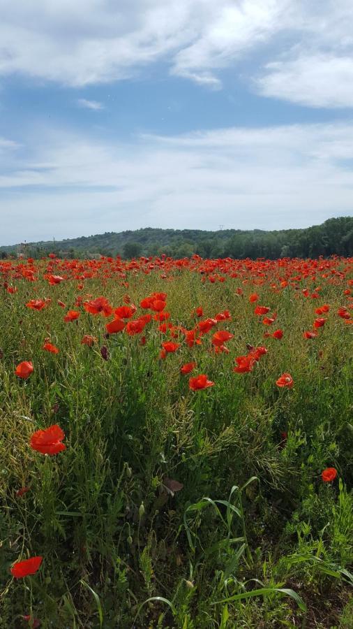 Bnb Fano Collina. La Pace Di Una Vacanza Piagge Exteriér fotografie