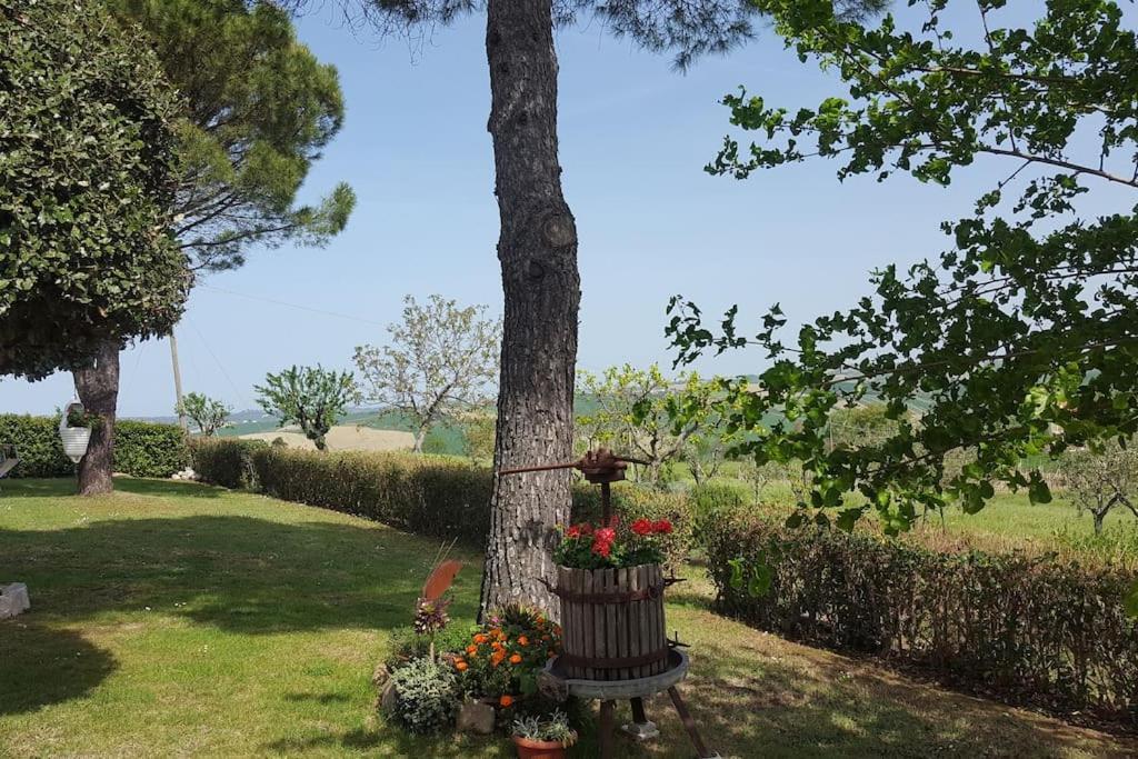 Bnb Fano Collina. La Pace Di Una Vacanza Piagge Exteriér fotografie