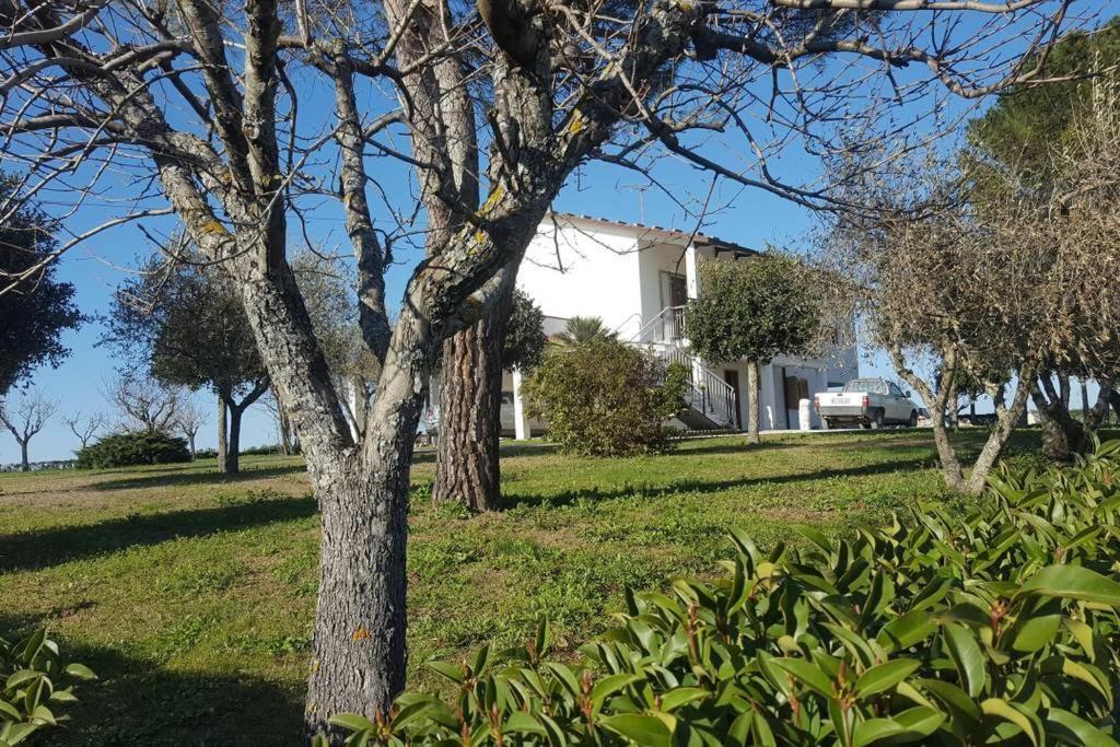 Bnb Fano Collina. La Pace Di Una Vacanza Piagge Exteriér fotografie