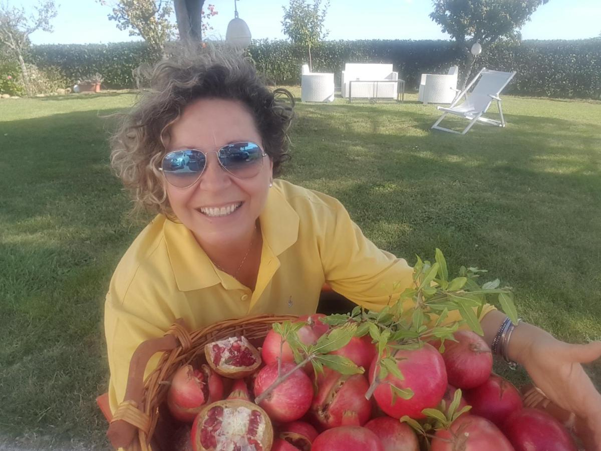 Bnb Fano Collina. La Pace Di Una Vacanza Piagge Exteriér fotografie